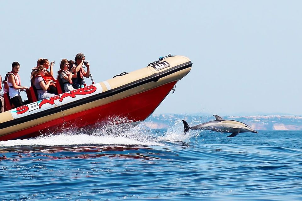 People in a red boat photographing a jumping dolphin.