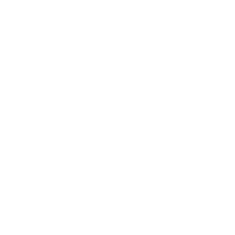 Spacious boat