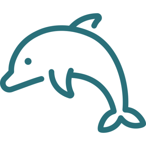 dolphins