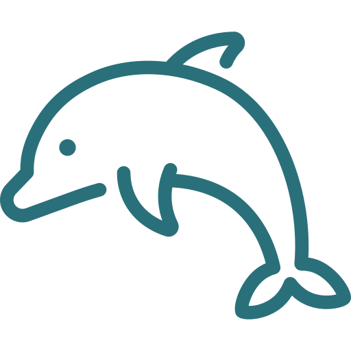 dolphins