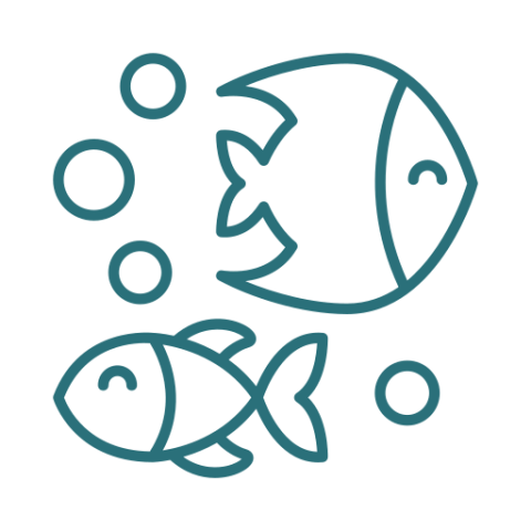 sealife exploration