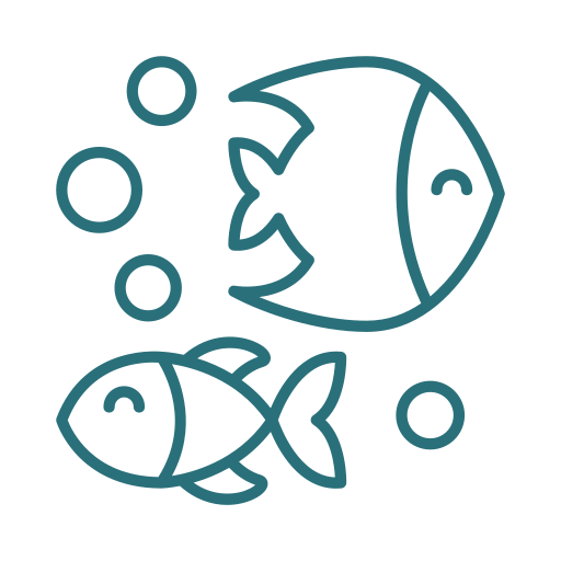 sealife exploration